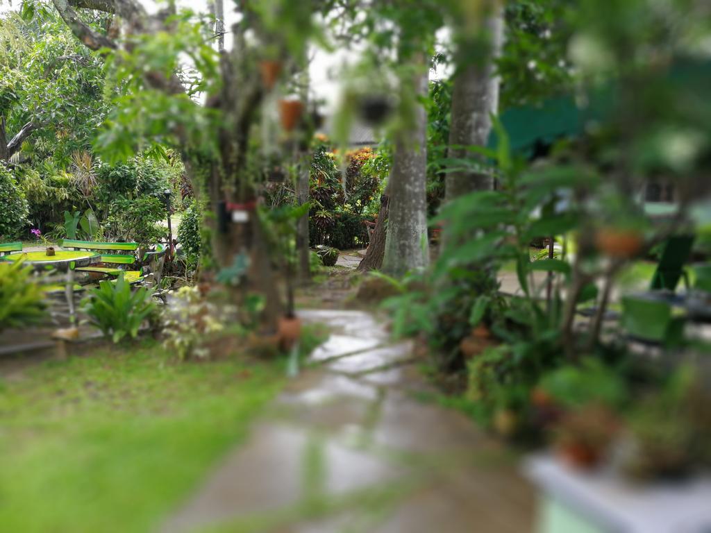 Baan Bua Guest House Chiang Rai Eksteriør bilde