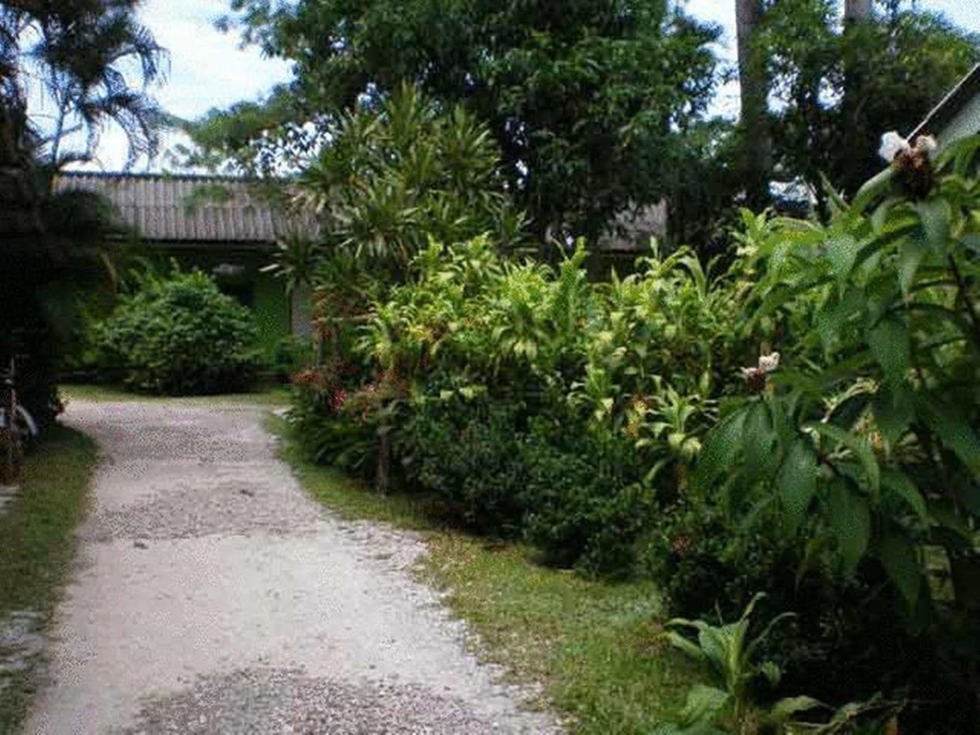 Baan Bua Guest House Chiang Rai Eksteriør bilde